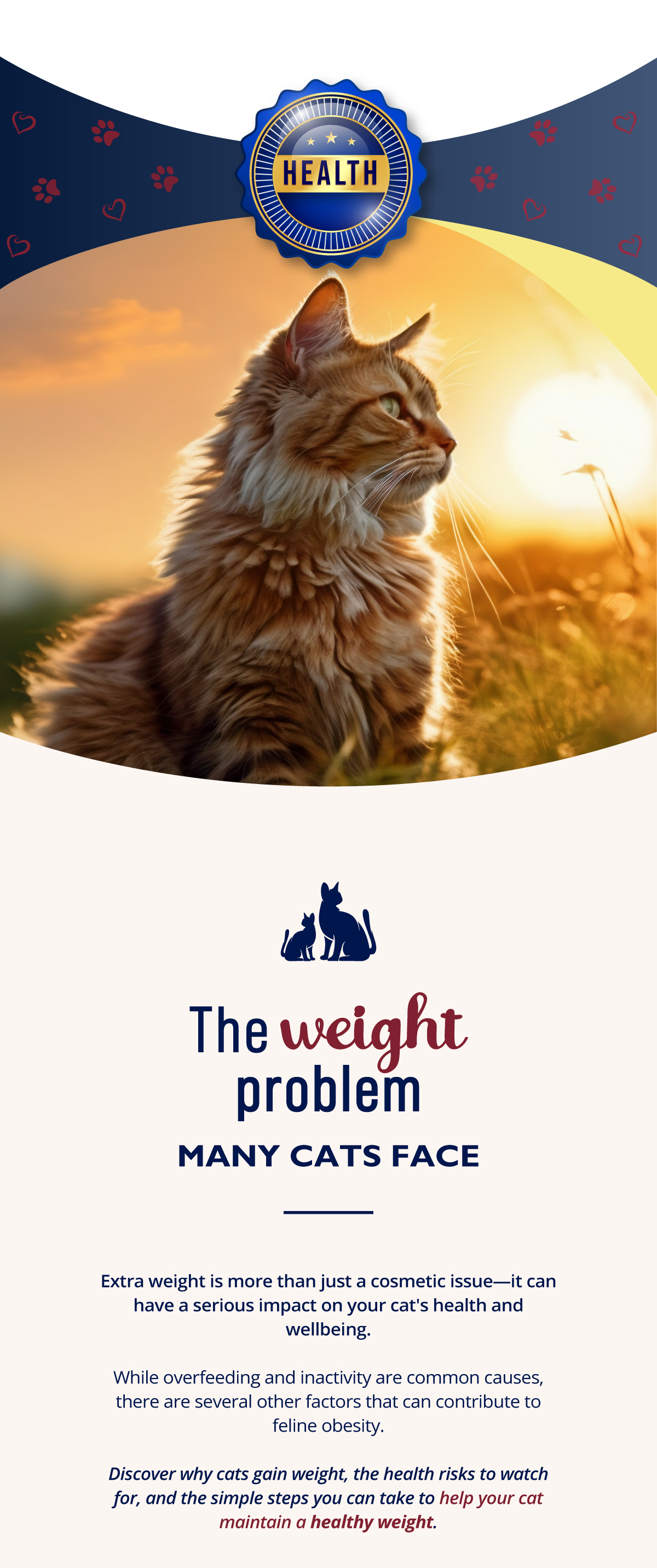 Extra weight is more than just a cosmetic issue�it can have a serious impact on your cat's health and wellbeing.