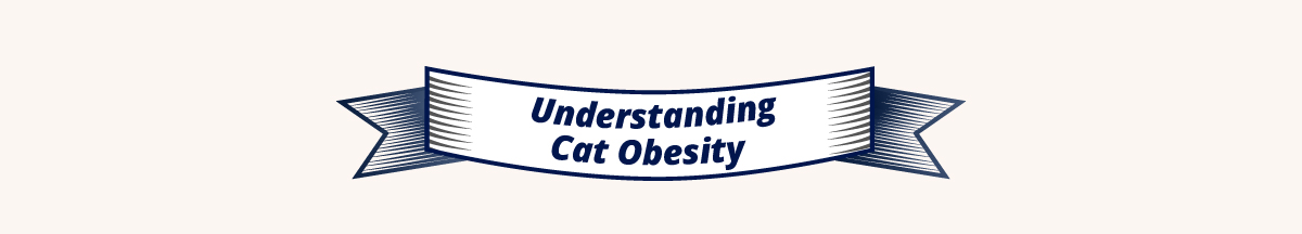 Understanding Cat Obesity