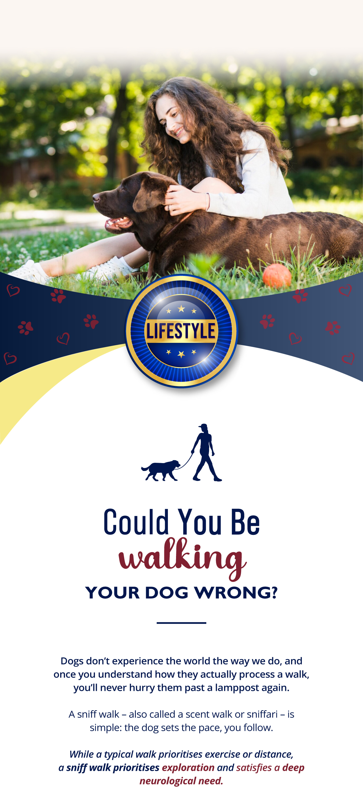 Dogs don�t experience the world the way we do, and once you understand how they actually process a walk, you�ll never hurry them past a lamppost again.