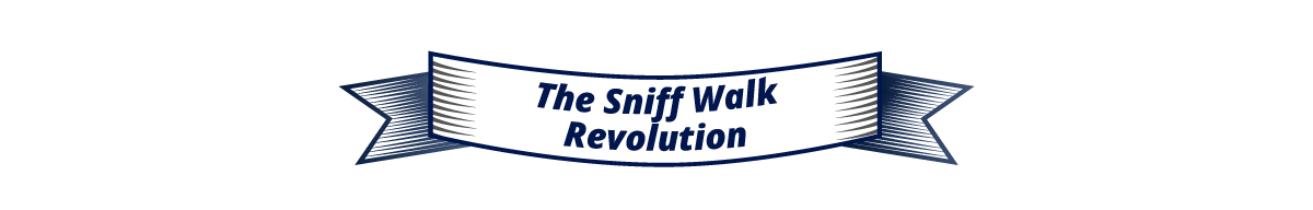 The Sniff Walk Revolution