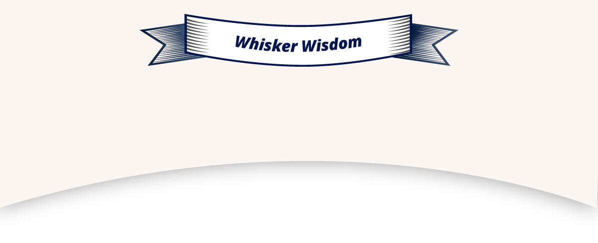 Whisker Wisdom