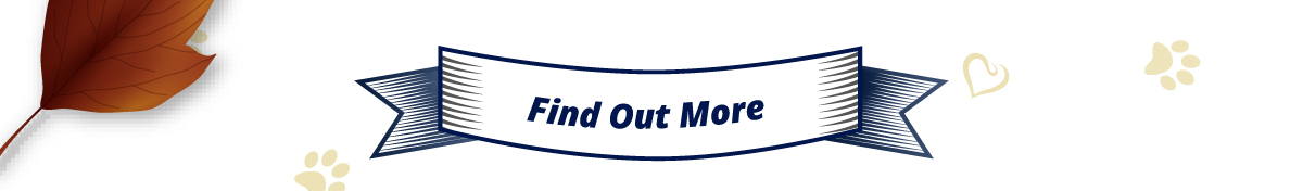 Find Out More