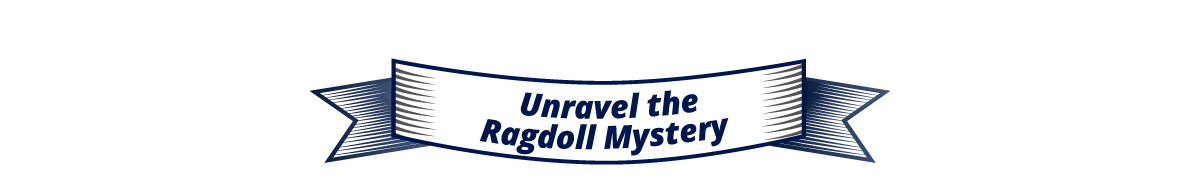 Unravel the Ragdoll Mystery