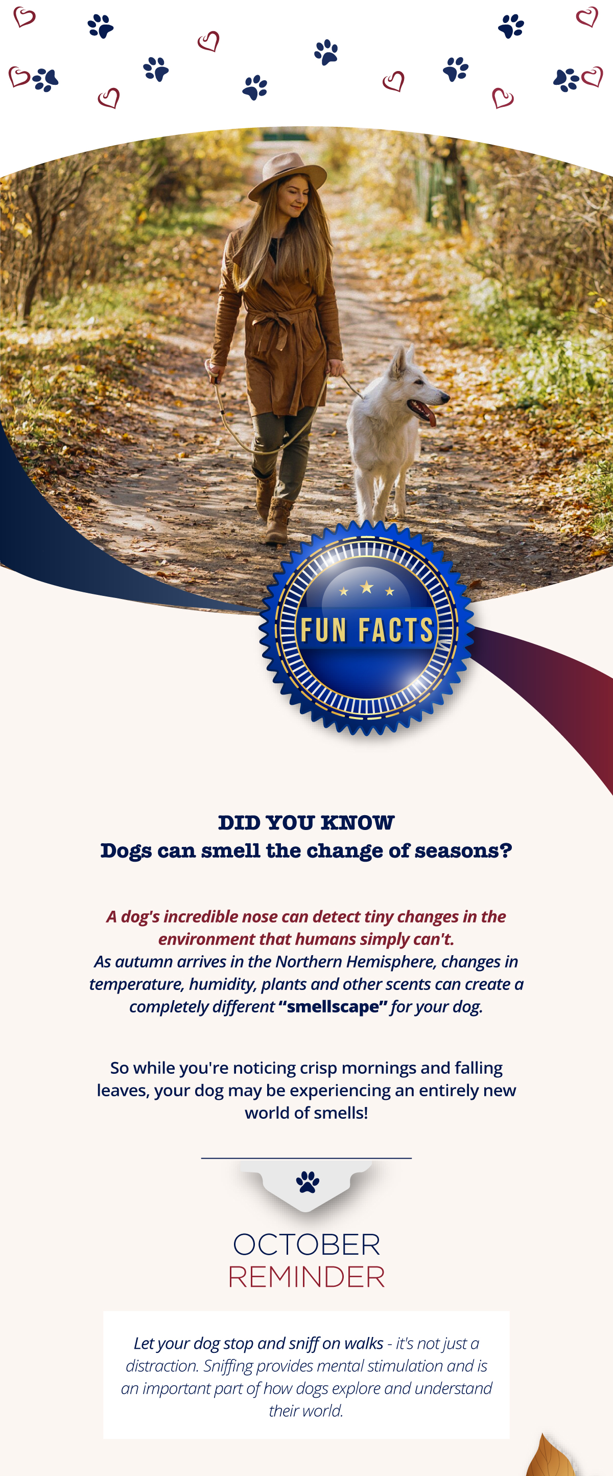 Did you know dogs can smell the chnage of seasons?