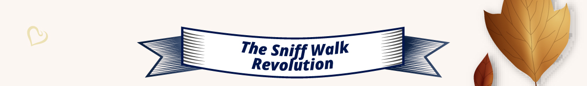 The Sniff Walk Revolution