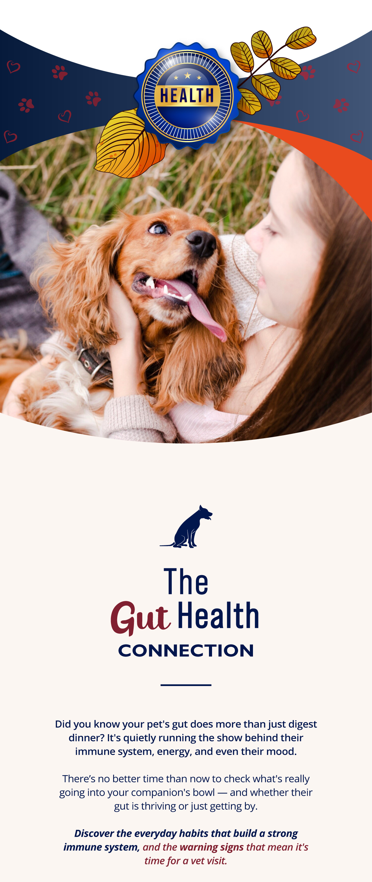 The Gut Health Connection.