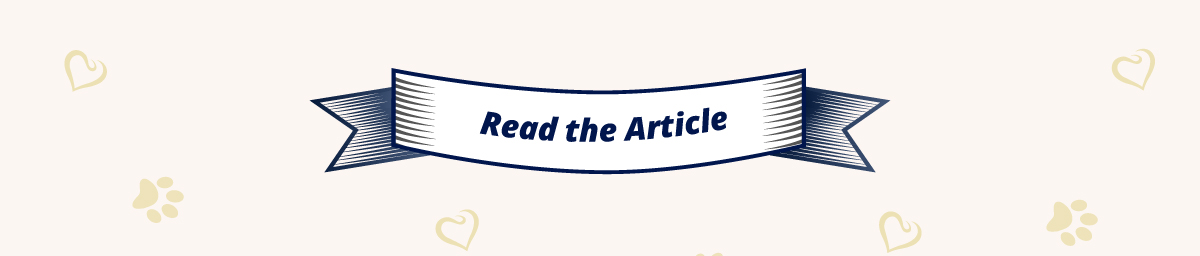 Read the Article
