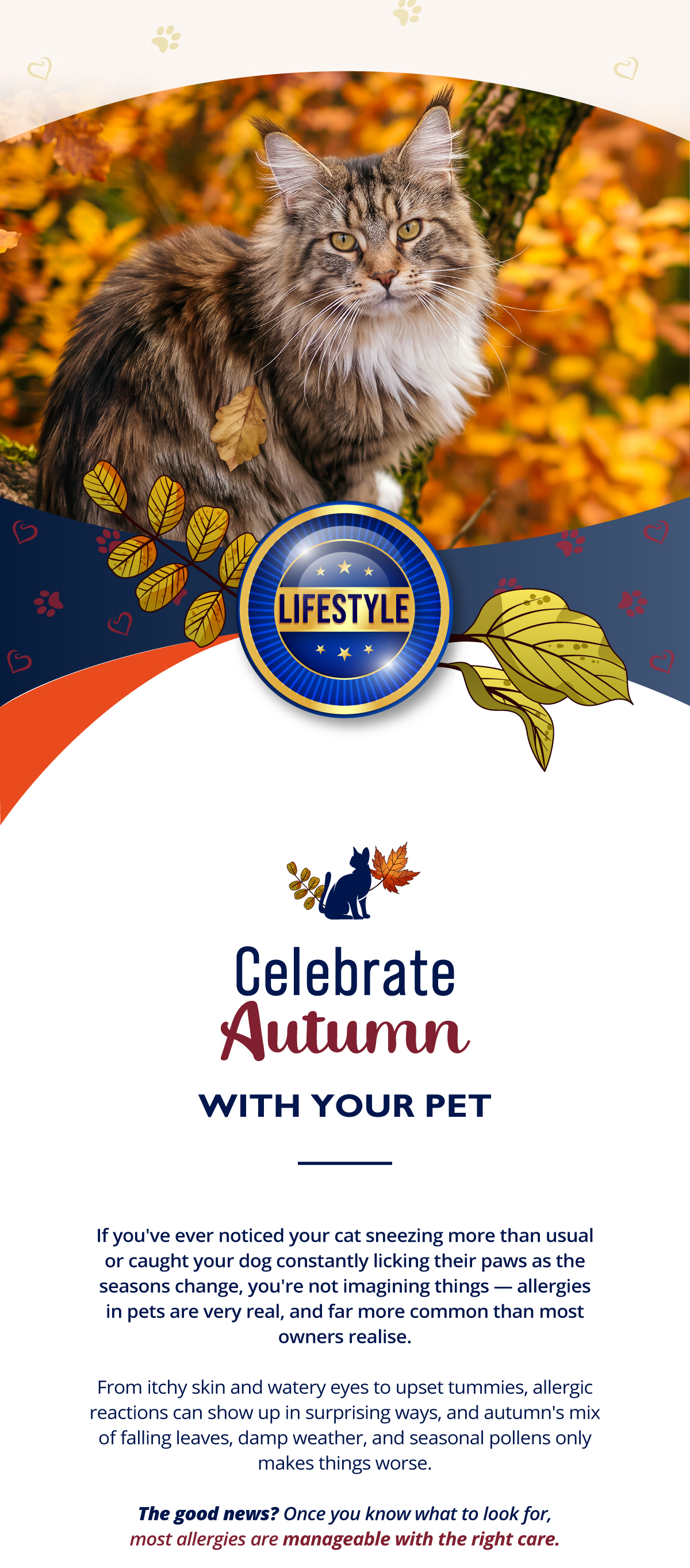 Celebrate Autumn with your pet