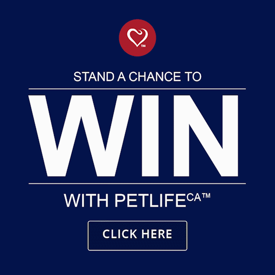 Stand a chance to win with PetlifeCA