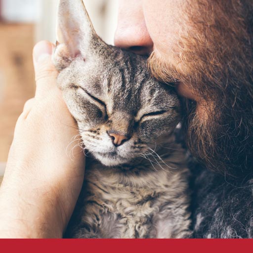 Basic Care for Pets Health & Wellness PetlifeCA™