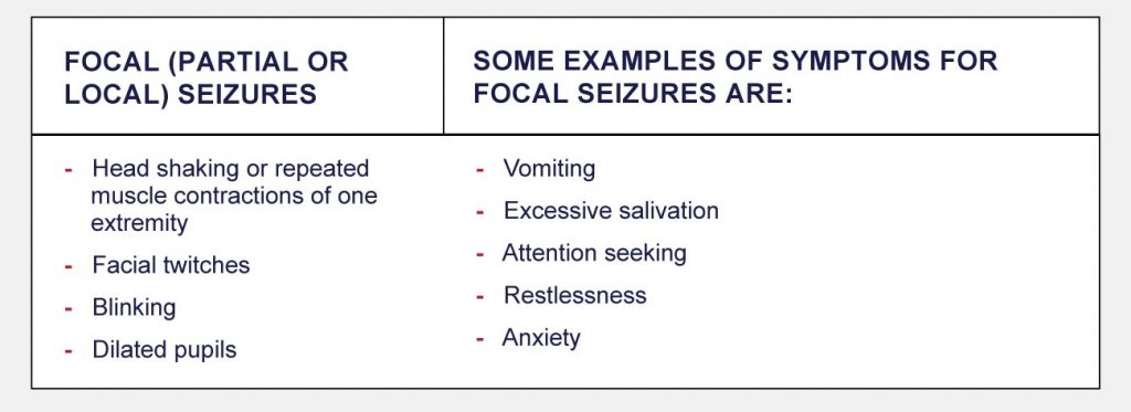 focal seizure symptoms