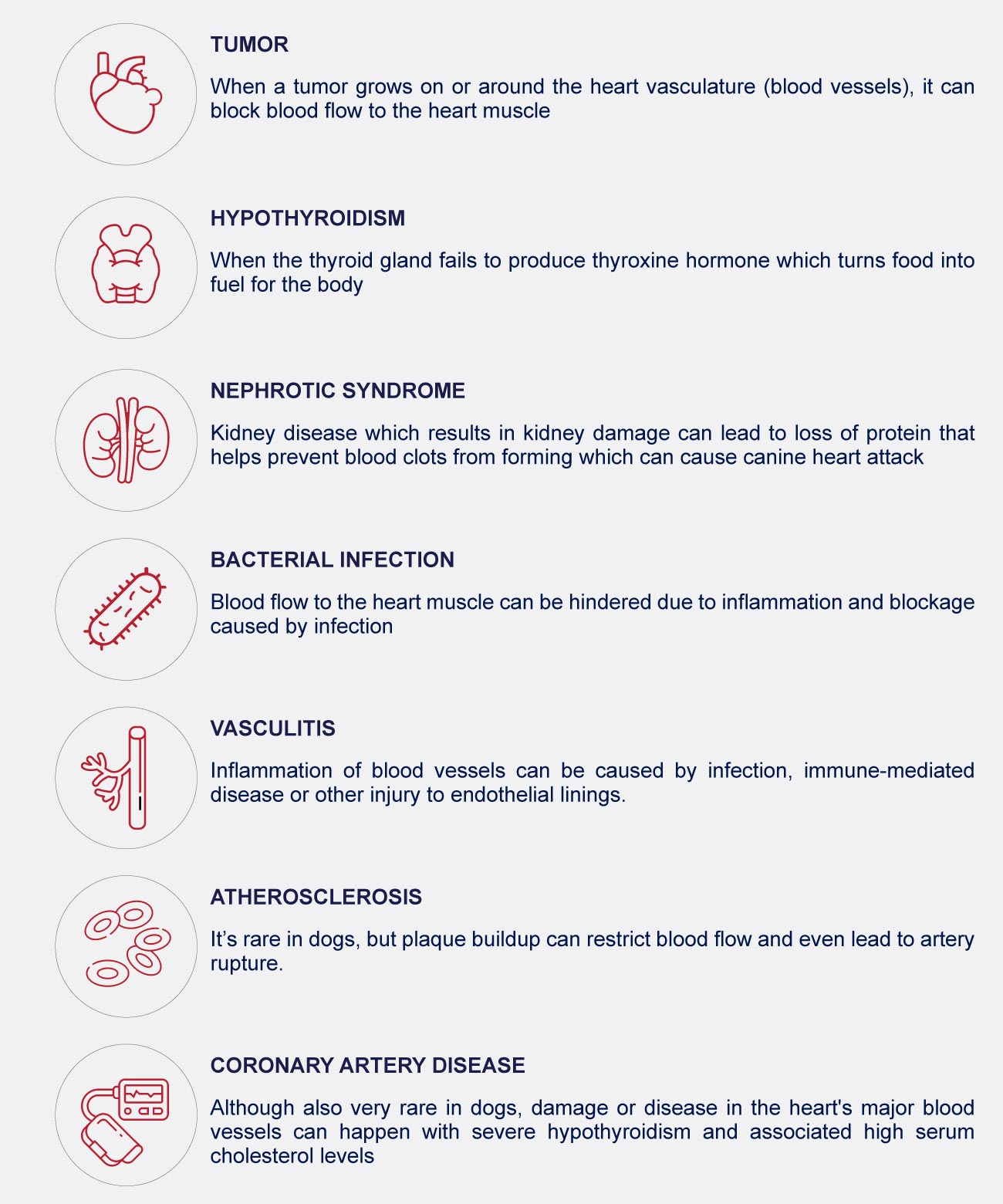 Heart Disease In Dogs - PetlifeCA