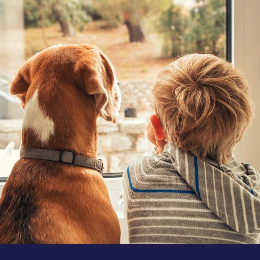Read more about the article Heart Disease In Dogs OLD