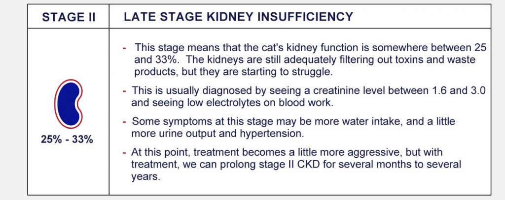 Stages Of Feline Chronic Kidney Disease - PetlifeCA