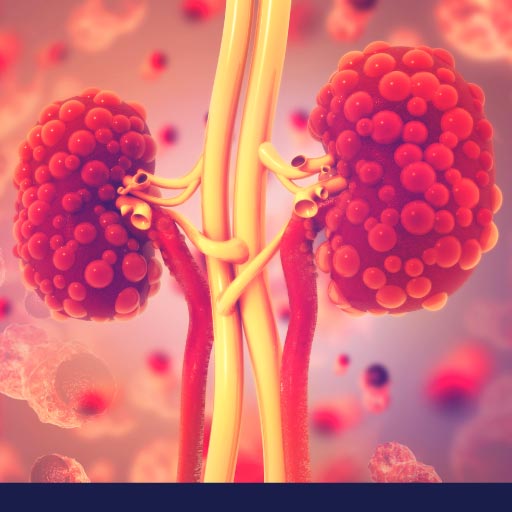 Read more about the article Kidney Toxicity (Drug Induced Nephrotoxicity) In Dogs OLD