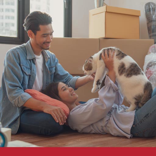 Read more about the article Checklist: Moving House With A Cat OLD