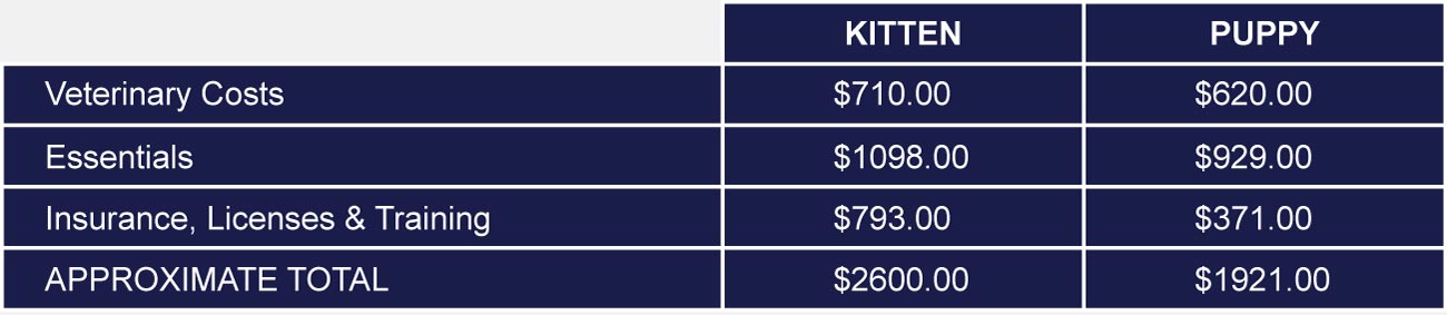 How Much Does It Cost To Own A Pet In Canada? PetlifeCA