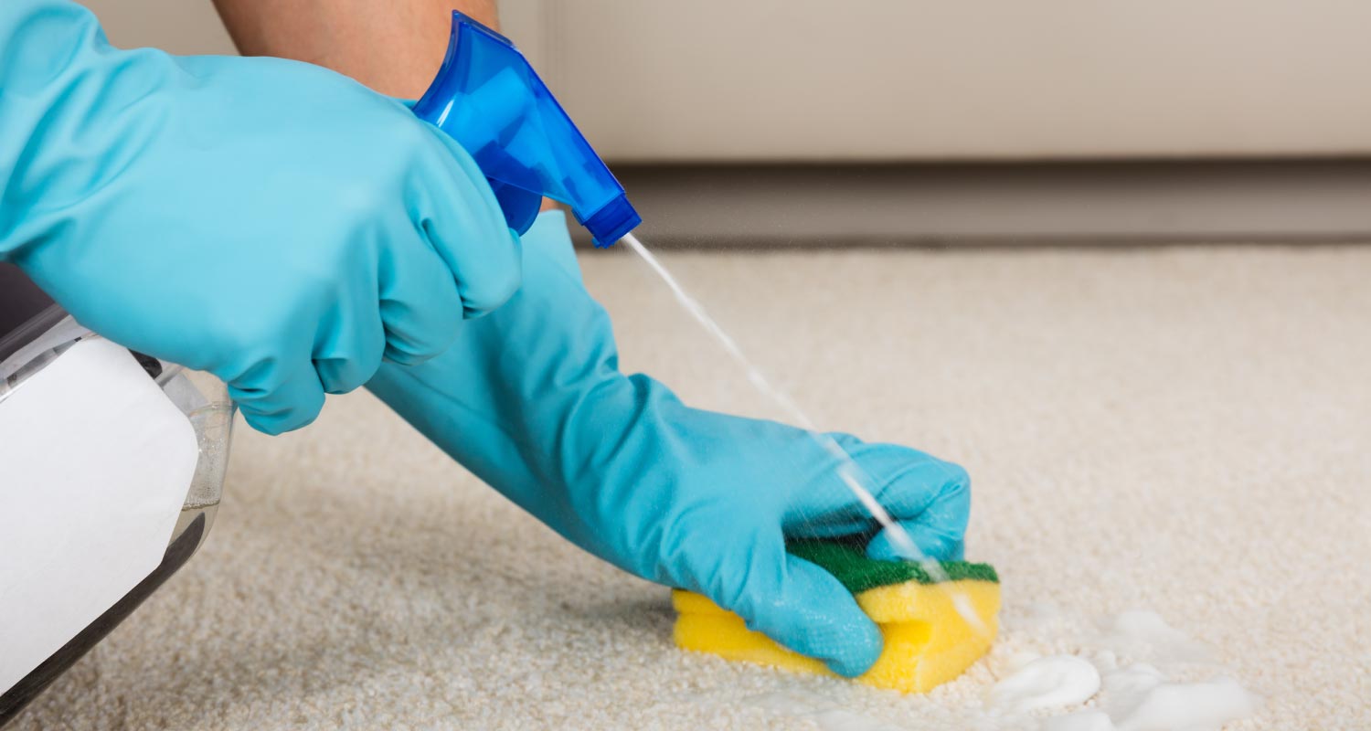 image person scrubbing carpet