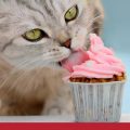 Cat eating pink frosting off cupcake
