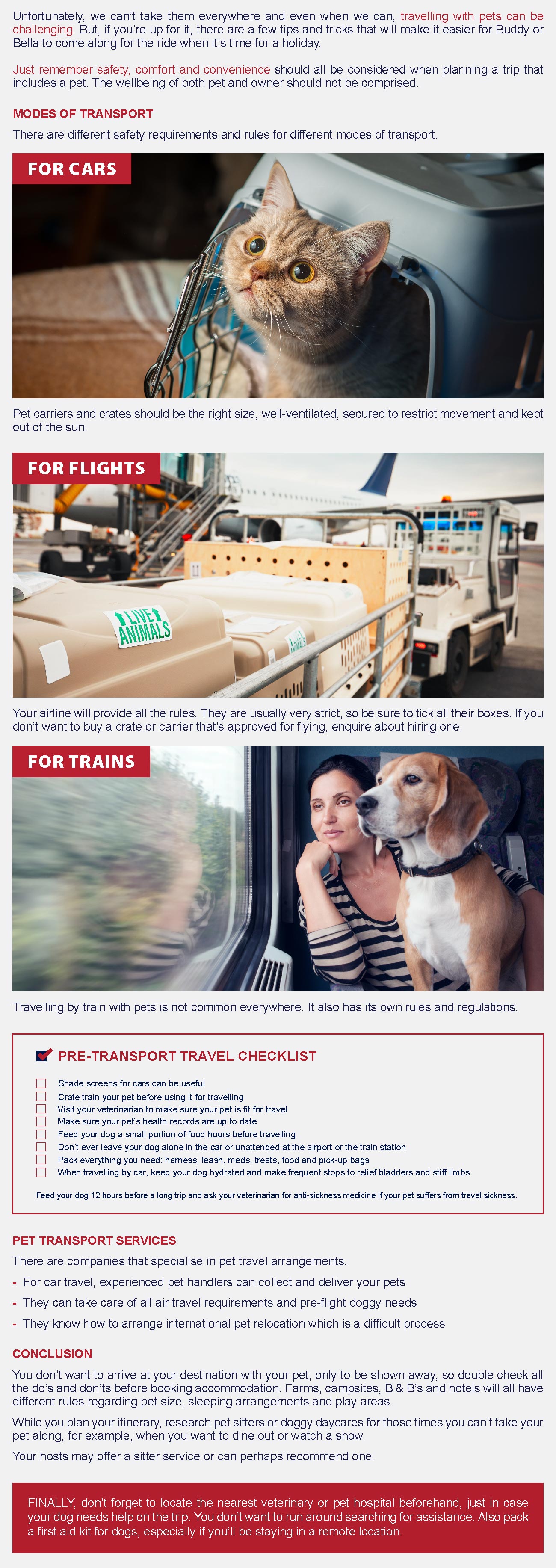 infographic- how to tackle pet transport