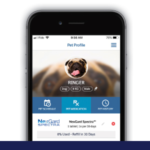 Read more about the article The PetCare App