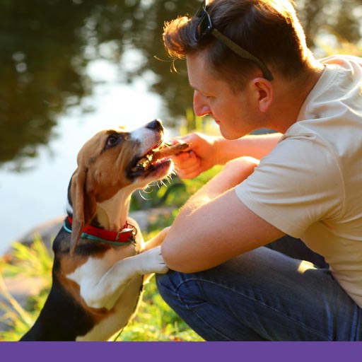 Read more about the article Lyme Disease Vaccination Guide OLD