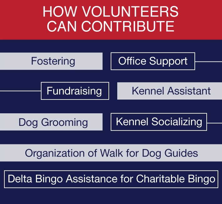 Animal Welfare how volunteers can tribute