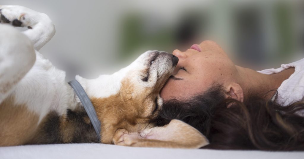 Ways To Celebrate Being A Pet Mom - PetlifeCA