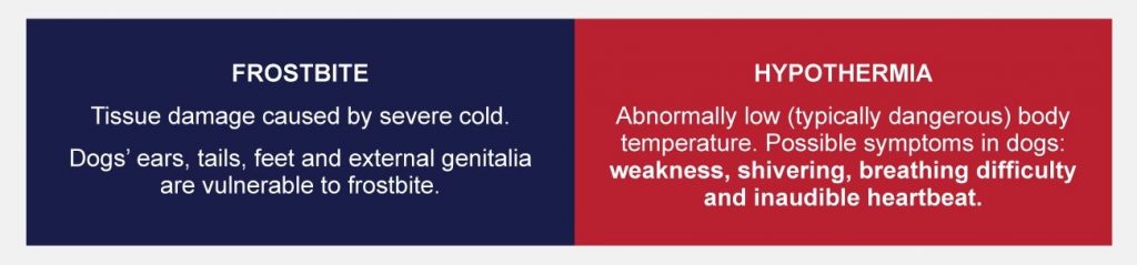 difference between frostbite and hypothermia