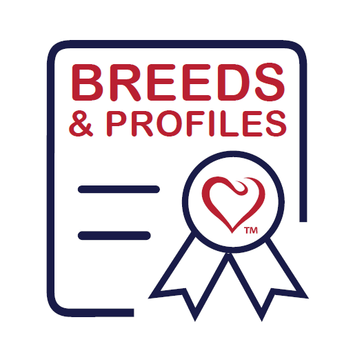 Read more about the article BREEDS & PROFILES