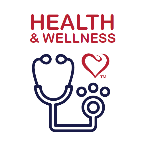 Read more about the article HEALTH & WELLNESS