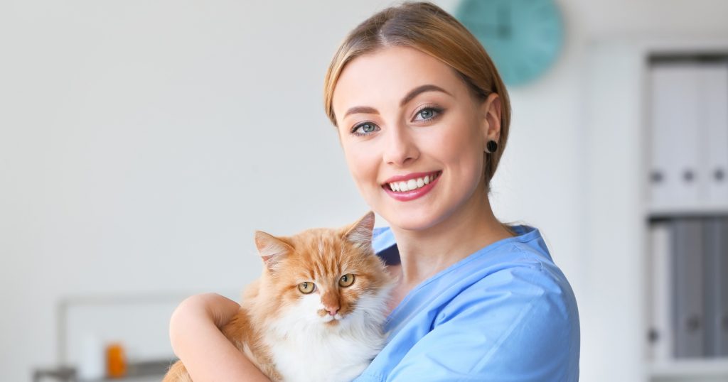 Take Your Cat To The Vet Day PetlifeCA