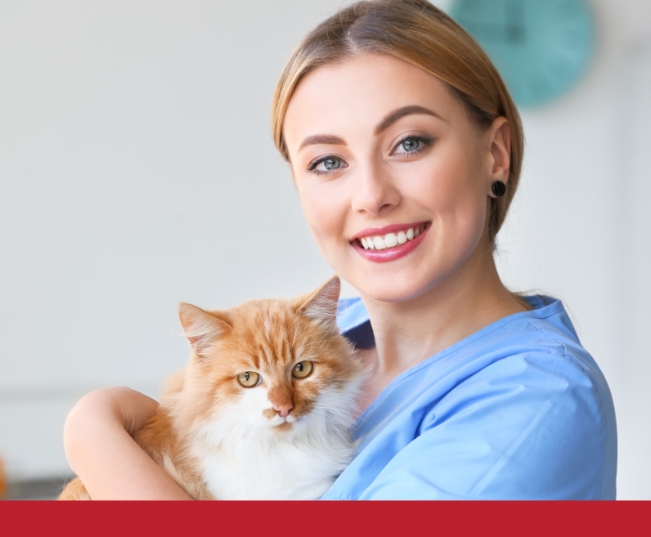 Read more about the article Take Your Cat To The Vet Day OLD