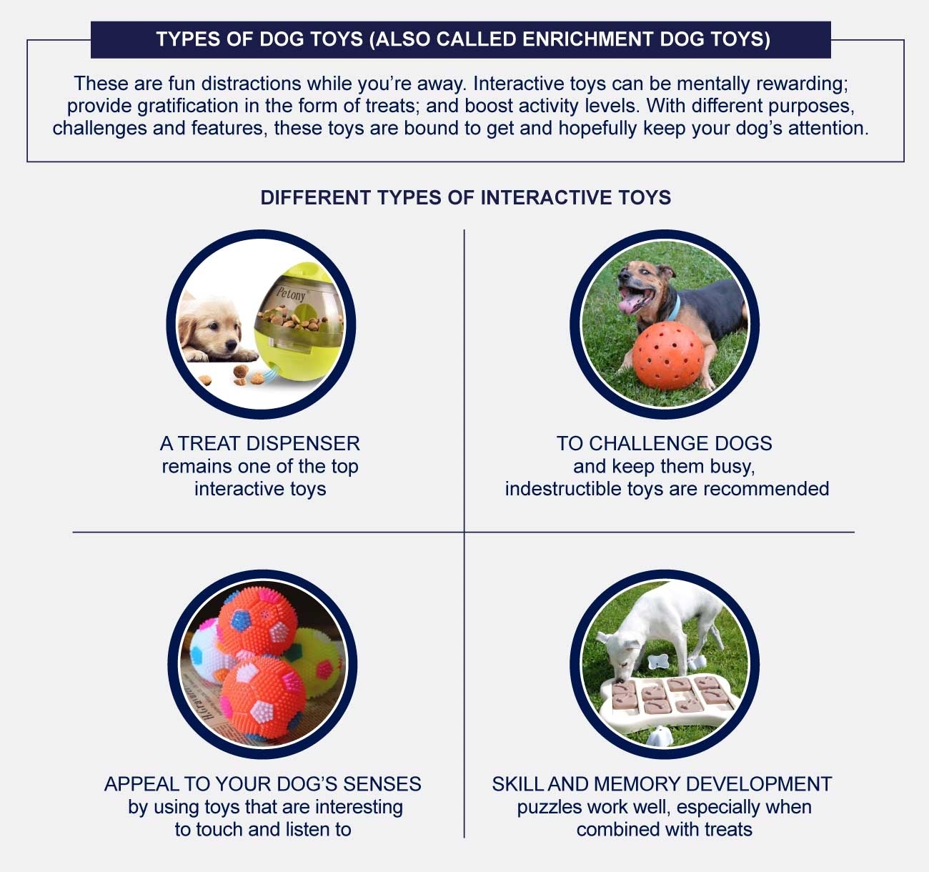 Top Interactive Toys For Bored Dogs PetlifeCA