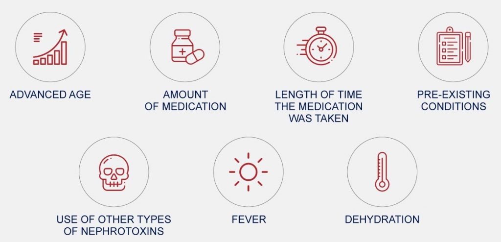 Kidney Toxicity (Drug Induced Nephrotoxicity) In Dogs - PetlifeCA