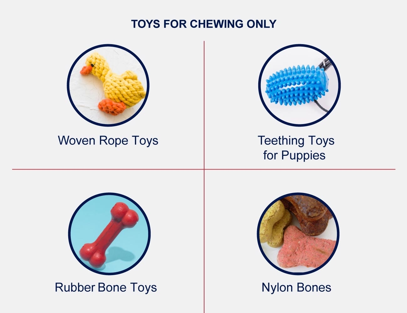 Top Interactive Toys For Bored Dogs - PetlifeCA