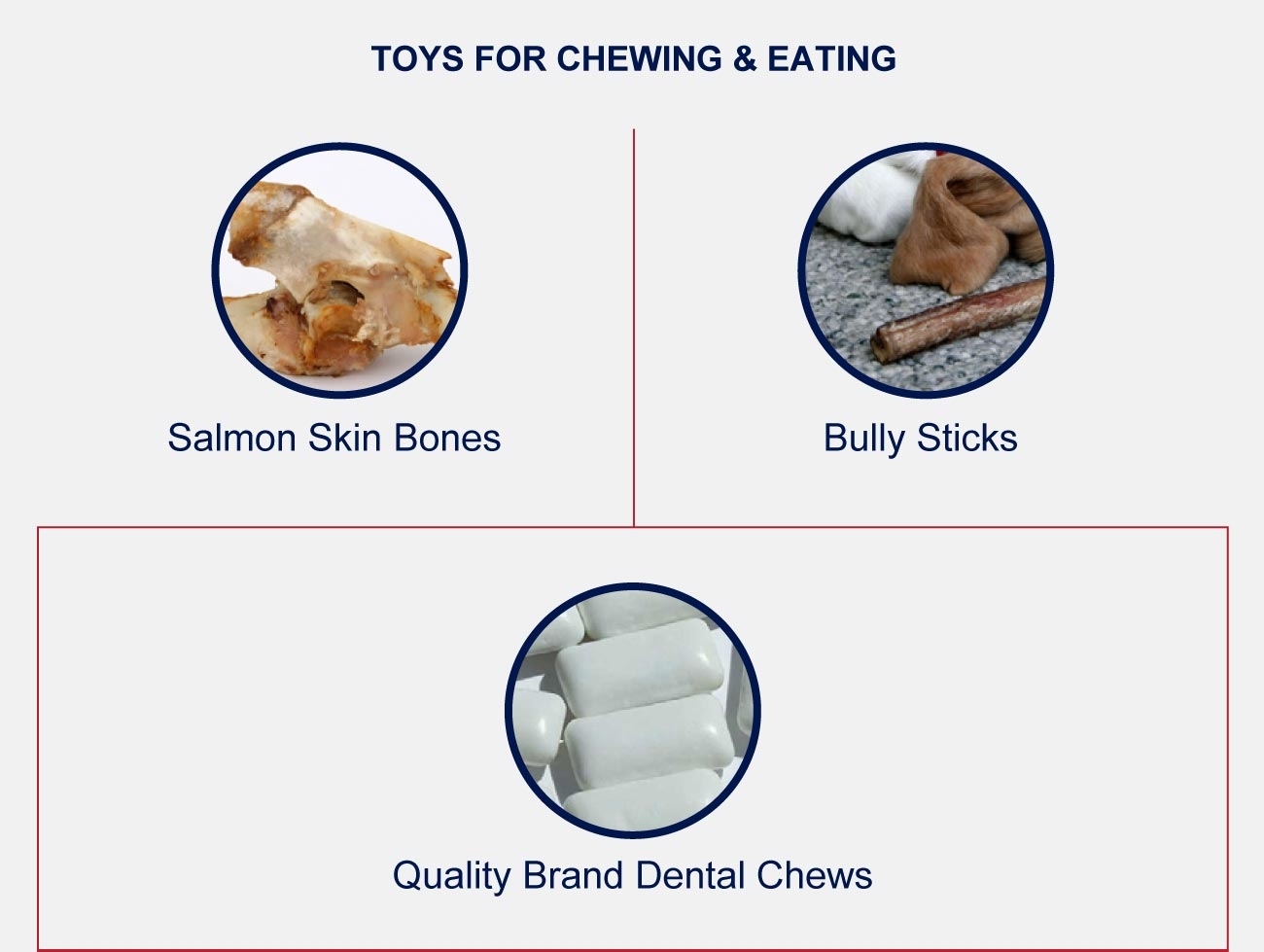 https://petlifeca.ca/wp-content/uploads/2023/02/CA0134-petlifeca-training-the-benifits-of-dog-toys-infographic-02b.jpg