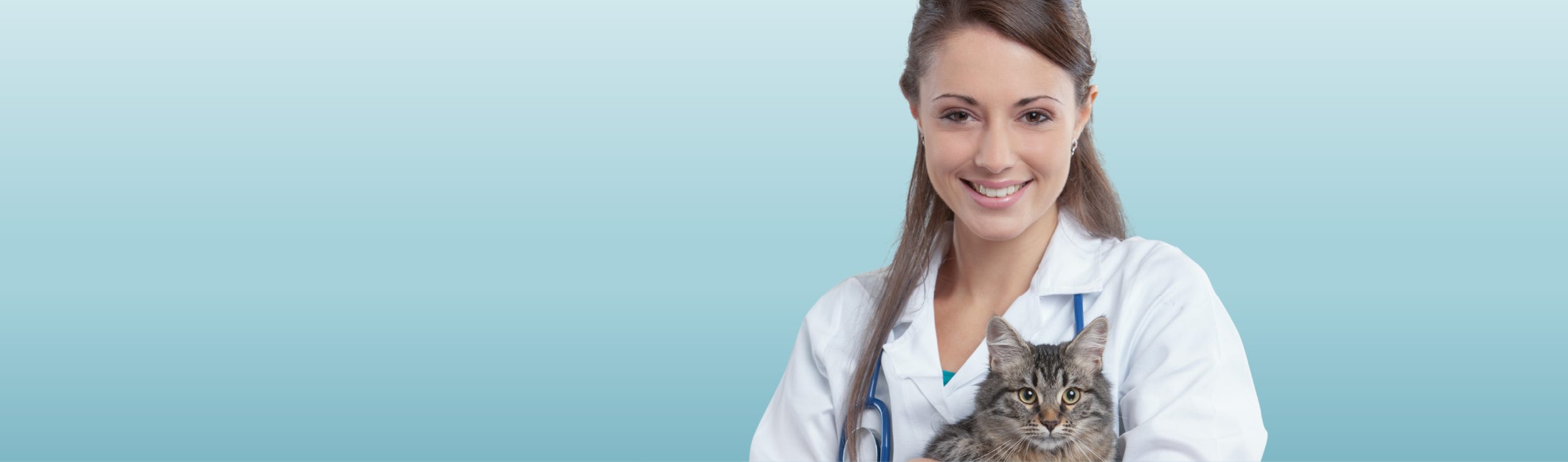 PLUS767-03-Vetzone-Design-Banner-07-scaled.jpg