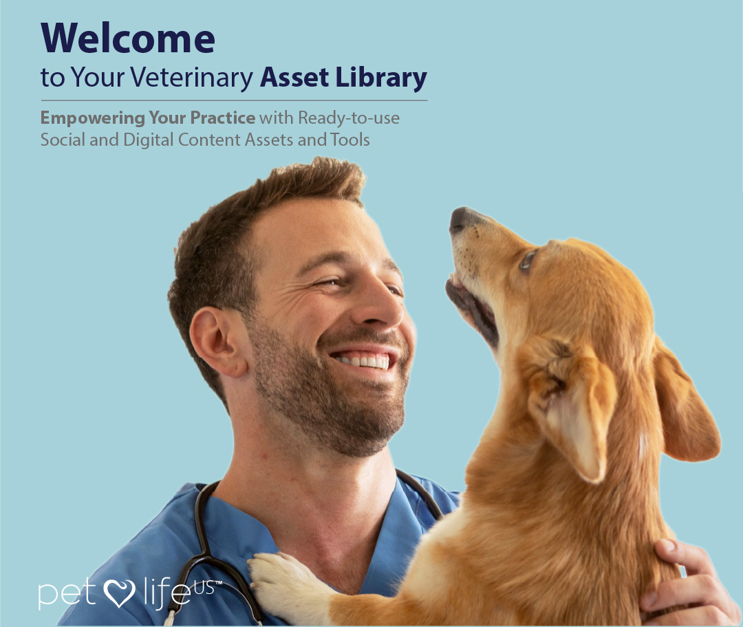 PLUS767-03-Vetzone-Design-Mobile-Banner-03.jpg