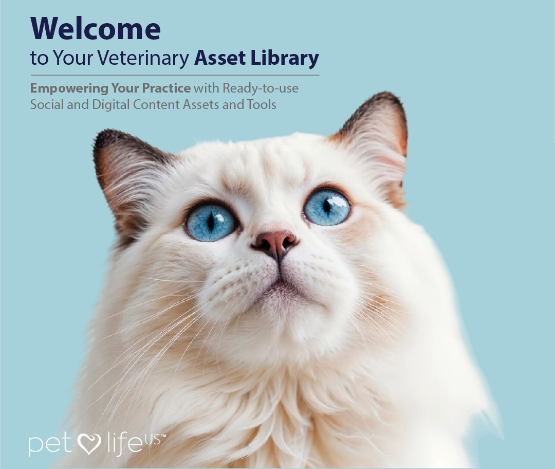 PLUS767-03-Vetzone-Design-Mobile-Banner-04.jpg