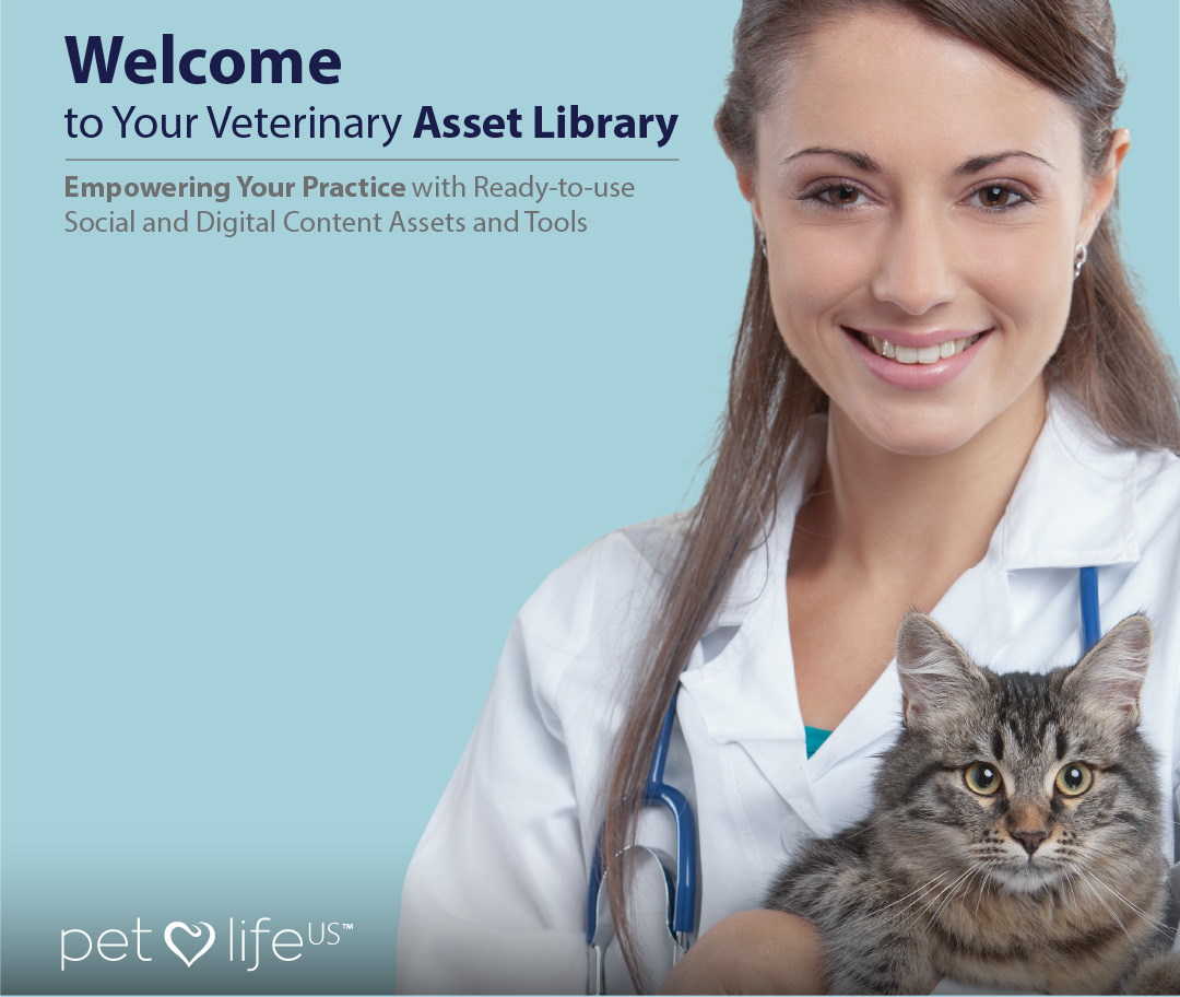 PLUS767-03-Vetzone-Design-Mobile-Banner-07.jpg