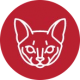 CA0038-petlifeca-health-basic-care-vaccinations-what-are-pet-vaccines-and-why-are-they-important-the-basics-about-canine-and-feline-vaccinations-cat-icon